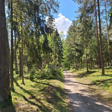 Apartment Lake&city - Komfortowe Blisko Majaland, Jeziora, Lasu Oraz Serca Trojmiasta