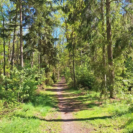Lake&city - Komfortowe Blisko Majaland, Jeziora, Lasu Oraz Serca Trojmiasta * Gdańsk