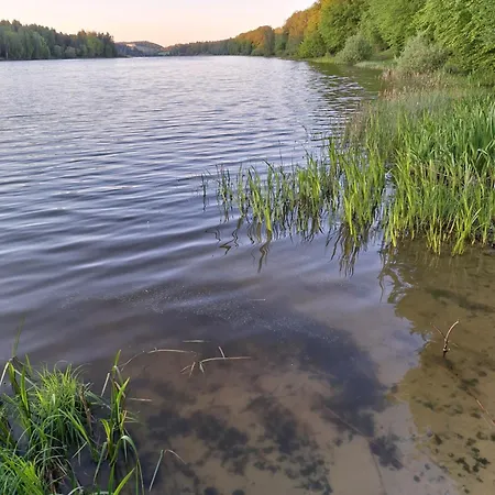 Lake&city - Komfortowe Blisko Majaland, Jeziora, Lasu Oraz Serca Trojmiasta 格但斯克