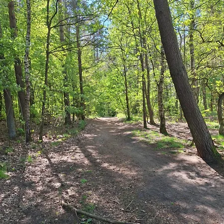 Lejlighed Lake&city - Komfortowe Blisko Majaland, Jeziora, Lasu Oraz Serca Trojmiasta *