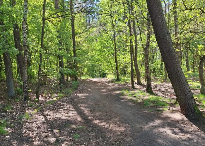 Apartment Lake&city - Komfortowe Blisko Majaland, Jeziora, Lasu Oraz Serca Trojmiasta *