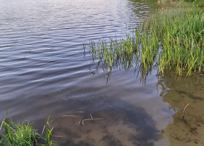 Lake&city - Komfortowe Blisko Majaland, Jeziora, Lasu Oraz Serca Trojmiasta Gdaňsk