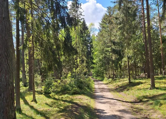 Apartmán Lake&city - Komfortowe Blisko Majaland, Jeziora, Lasu Oraz Serca Trojmiasta