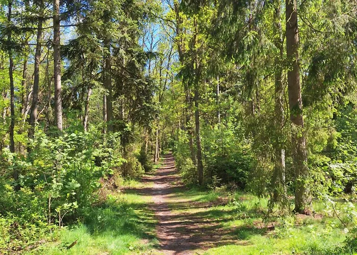 Lake&city - Komfortowe Blisko Majaland, Jeziora, Lasu Oraz Serca Trojmiasta * Gdaňsk